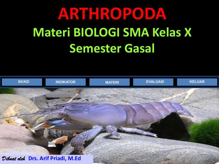 Materi Biologi Kelas 10