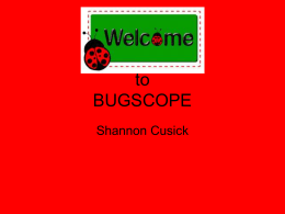 bugscope - WordPress.com