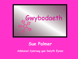 Gwybodaeth - Sue Palmer