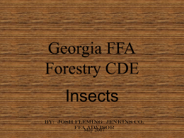 AG-FS-03.451-10.2 Forest Insects 6-9-04 PP2