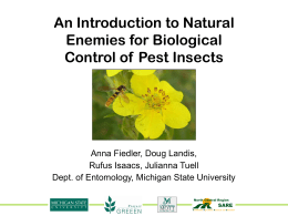 Natural enemies - MSU College of Agriculture and Natural Resources