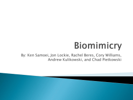 Biomimicry - UTCarbonFootprint