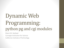 Dynamic Web Programming: pg & cgi modules