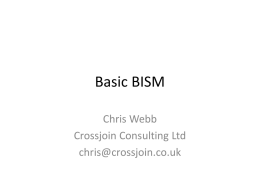 Basic BISM