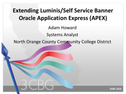 Extending Luminis/SSB with Oracle APEX