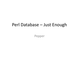 Perl Database – Just Enough