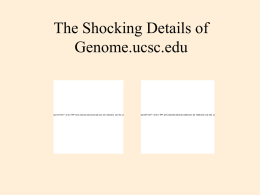 Sordid Details of the Human Genome Browser