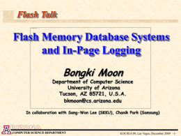 Flash Memory Database Systems and IPL