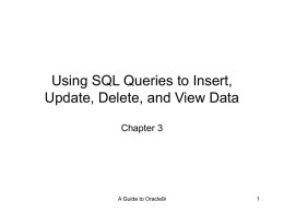USING SQL QUERIES TO INSERT, UPDATE, DELETE, AND VIEW …