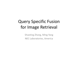 Query Image Specific Adaptive Fusion of Local and Global