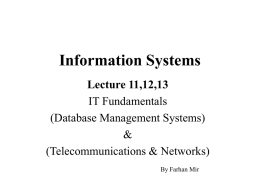 Information Systems - Institute of Management Sciences BZU