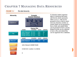 Chapter 7 Managing Data Resources