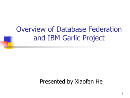 Data Integration through database federation