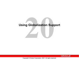 DBAI_les20_globalization_support