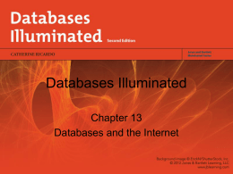 Databases and the Internet