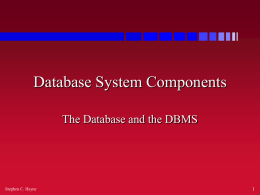 Database Components - Dr. Stephen C. Hayne