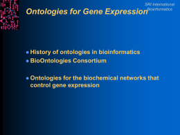 Ontologies for Gene Expression