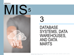 3. Database Systems, Data Warehouses, and Data Marts.
