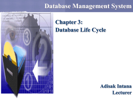 Database Life Cycle