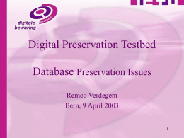 Database Preservation Issues