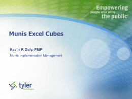 Munis Excel Cubes Presentation