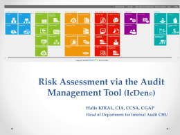 risk-assessment-via-audit-management-tool.12.9.2014