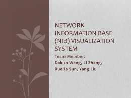 Network Information Base (NIB) visualization system
