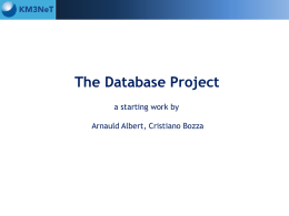The Database Project