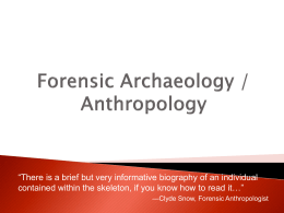 Forensic Archaeology / Anthropology