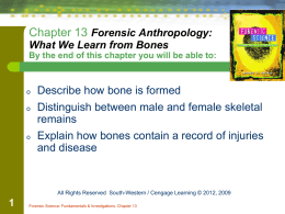 Notes: Forensic Anthropology