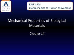 Mechanical Properties of Biological Materials