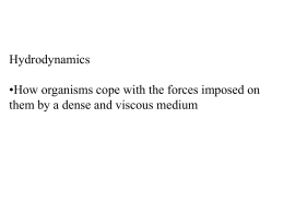 Lecture 14 Hydrodynamics
