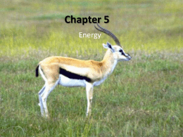 Chapter 5 PPT Notes