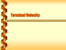 Terminal Velocity - Northern Illinois University