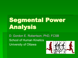 Segmental Power Analysis