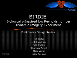 BIRDIE: Biologically-Inspired low Reynolds number Dynamic
