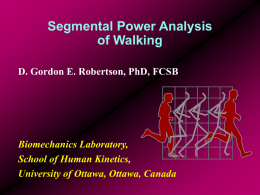 Segmental Power Analysis of Walking