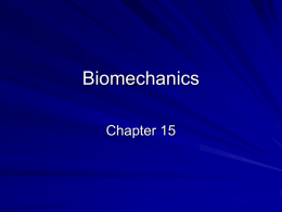 Biomechanics - WordPress.com