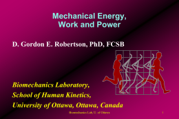Work equations - University of Ottawa