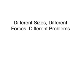 Different Sizes, Different Forces, Different Problems