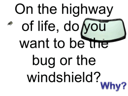 bug windshield - 3rd law