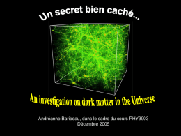 What could it be?: the nature of dark matter