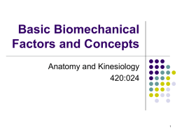 Basic Mechanical Factors and Concepts