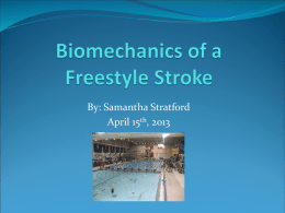 Biomechanics of a Freestyle Stroke - CCVI