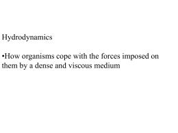 Lecture 14 hydrodynamics lecture