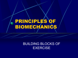 principles of biomechanics - Bishop Allen Academy Health and