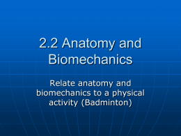 2.2 Anatomy and Biomechanics