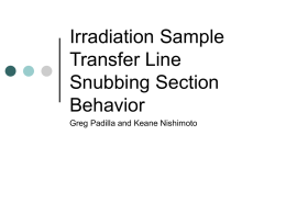 Irradiation Sample Transfer Line Snubbing Section Behavior