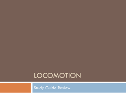 LOCOMOtion - TeacherWeb