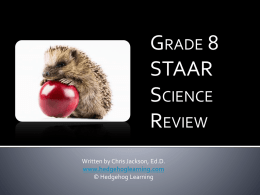Grade 8 Staar review packet File
